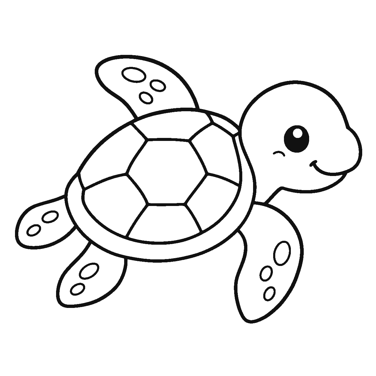 Ocean Life — sea turtle